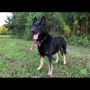 Meet your Posher, Georgiana